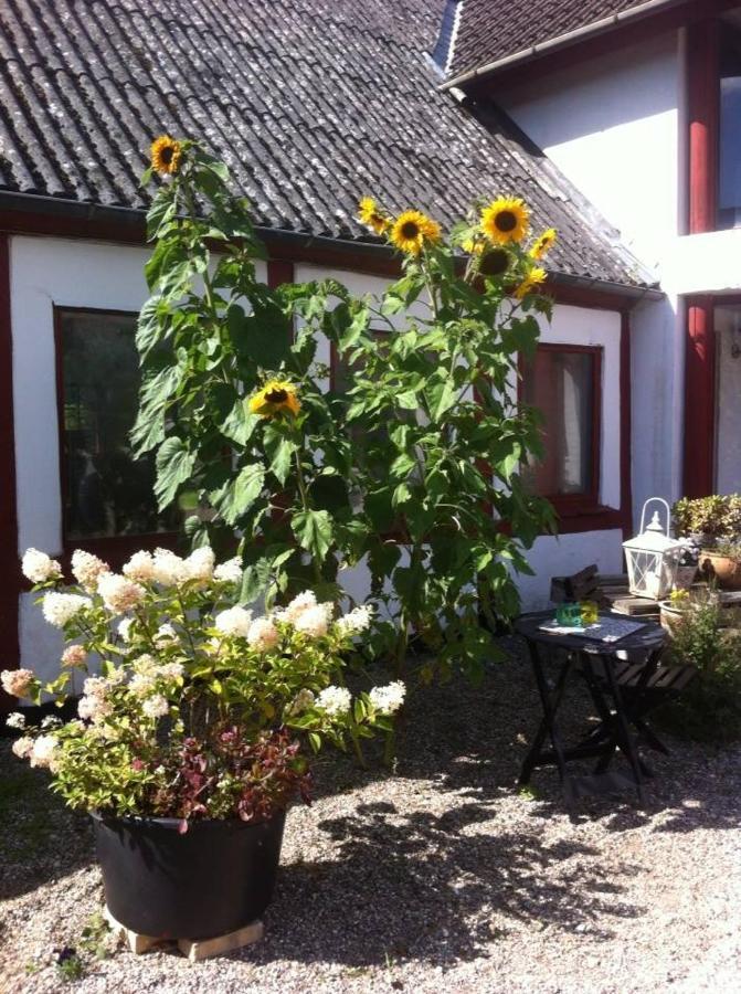 Praestogaard Bed & Breakfast Ngoại thất bức ảnh